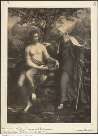 Vorderseite von bh025146_recto