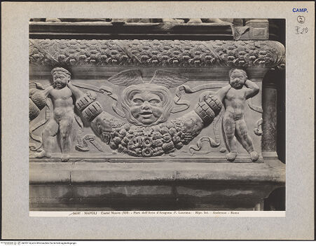 Vorderseite von Alinari [https://www.deutsche-digitale-bibliothek.de/content/lizenzen/rv-ez/] Triumphbogen Alfonsos VLinker Sockel - Rechte Seite: Festonfries, Detail, bh025174_recto. Foto.