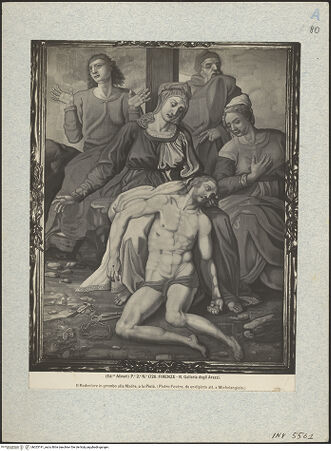 Vorderseite von bh025191_recto