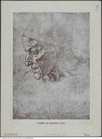 Vorderseite von bh025198_recto