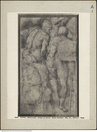 Vorderseite von bh025199_recto