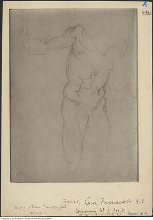 Vorderseite von bh025205_recto