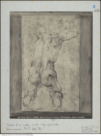 Vorderseite von bh025207_recto