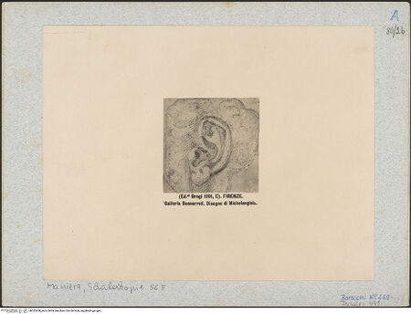 Vorderseite von bh025208_recto