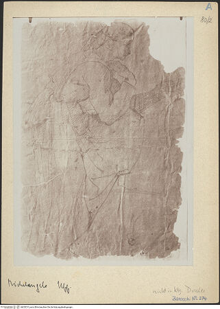 Vorderseite von bh025213_recto