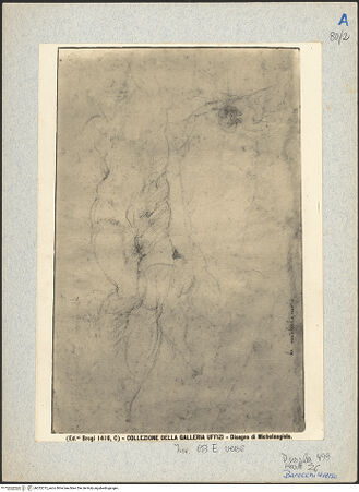 Vorderseite von bh025215_recto