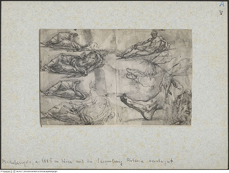 Vorderseite von bh025217_recto