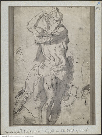 Vorderseite von bh025219_recto