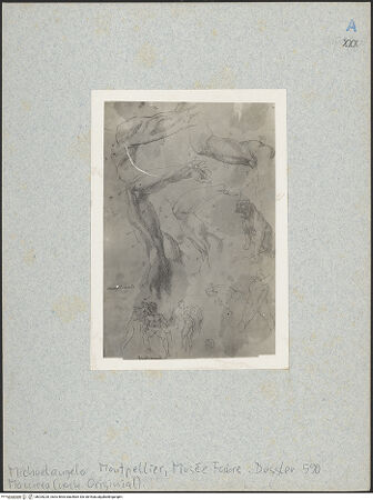 Vorderseite von bh025220_recto