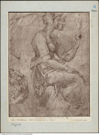 Vorderseite von bh025224_recto