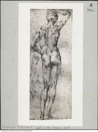 Vorderseite von bh025226_recto