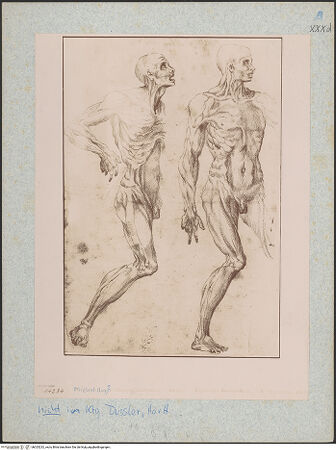 Vorderseite von bh025232_recto