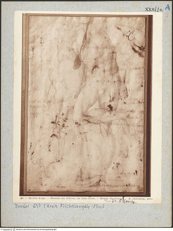 Vorderseite von bh025235_recto