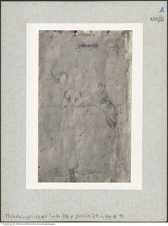 Vorderseite von bh025239_recto