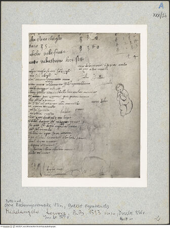 Vorderseite von bh025241_recto