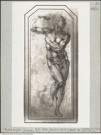 Vorderseite von bh025242_recto