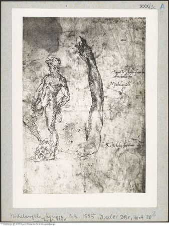 Vorderseite von bh025243_recto