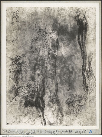 Vorderseite von bh025244_recto