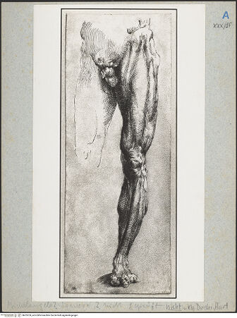 Vorderseite von bh025250_recto