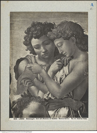 Vorderseite von Alinari [https://www.deutsche-digitale-bibliothek.de/content/lizenzen/rv-fz/] Madonna mit dem Johannesknaben und Engeln (The Manchester Madonna) - Detail rechts oben, bh025258_recto. Foto.