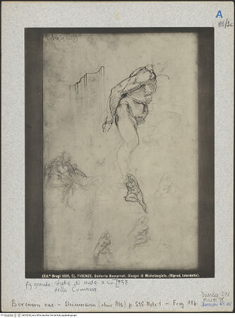 Vorderseite von Alinari [https://www.deutsche-digitale-bibliothek.de/content/lizenzen/rv-ez/] Studienblatt mit einem sitzenden Jünglingsakt mit angewinkeltem Bein, sieben skizzierten Jünglingsakten in ähnlicher Haltung und einem Gebälkprofil (Studien nach den "Ignudi" der Sixtinischen Decke, Vatikan, Cappella Sistina) - Gesamtaufnahme, bh025260_recto. Foto.