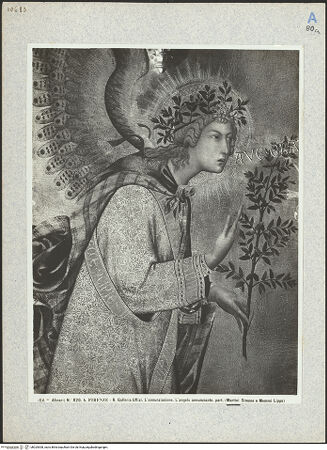 Vorderseite von bh025308_recto