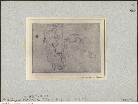 Vorderseite von bh025361_recto