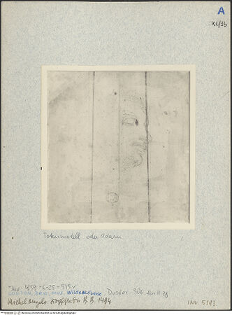 Vorderseite von bh025364_recto