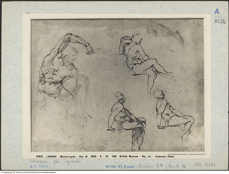 Vorderseite von bh025366_recto