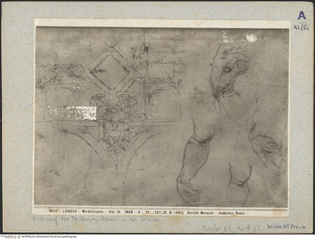Vorderseite von bh025368_recto