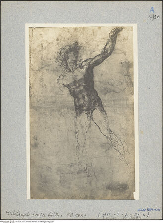 Vorderseite von bh025381_recto