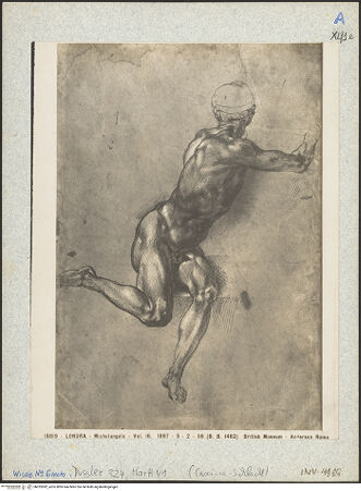 Vorderseite von bh025382_recto