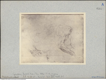 Vorderseite von bh025385_recto