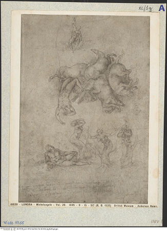 Vorderseite von bh025398_recto