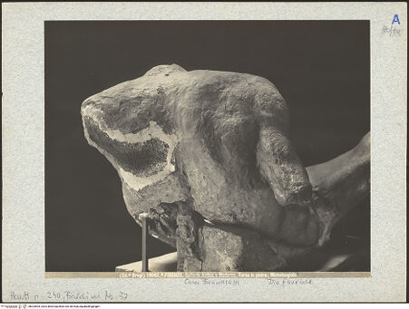 Vorderseite von bh025404_recto