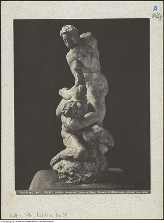 Vorderseite von bh025411_recto