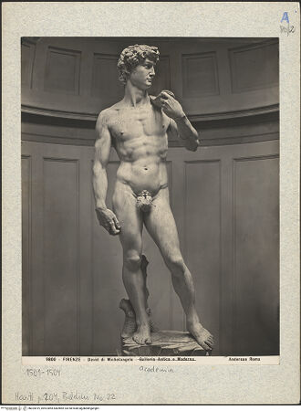 Vorderseite von bh025419_recto