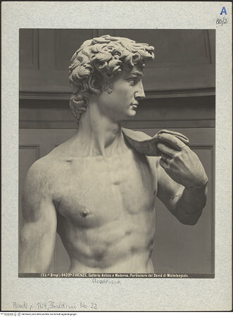 Vorderseite von bh025425_recto