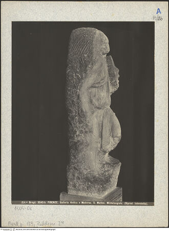 Vorderseite von bh025428_recto