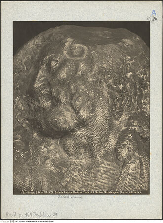 Vorderseite von bh025429_recto