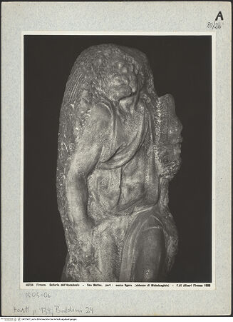 Vorderseite von bh025431_recto