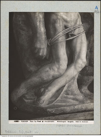 Vorderseite von bh025436_recto