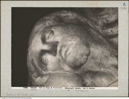 Vorderseite von bh025439_recto