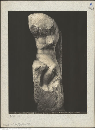 Vorderseite von bh025442_recto