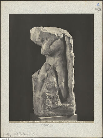 Vorderseite von bh025443_recto