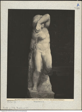 Vorderseite von bh025445_recto