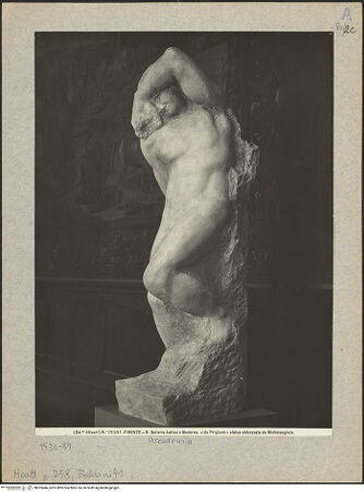 Vorderseite von bh025446_recto