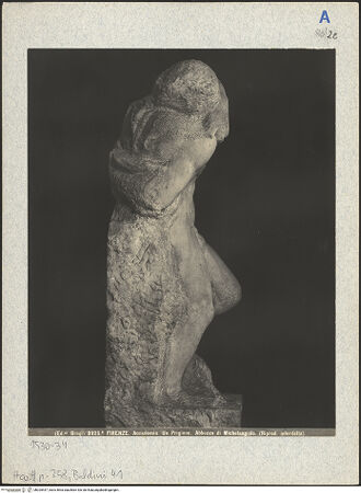 Vorderseite von bh025447_recto