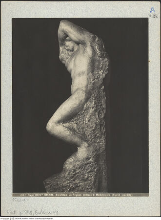 Vorderseite von bh025448_recto