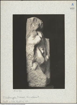 Vorderseite von bh025453_recto